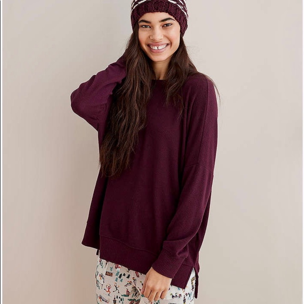 Aerie Plush Hometown Sweatshirt